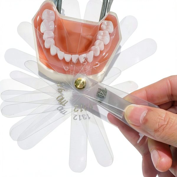 Dental Leaf Gauge Shanghai Shuodi 56 Pieces Autoclavable-4