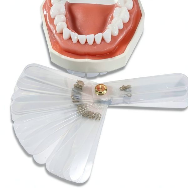 Dental Leaf Gauge Shanghai Shuodi 56 Pieces Autoclavable-1
